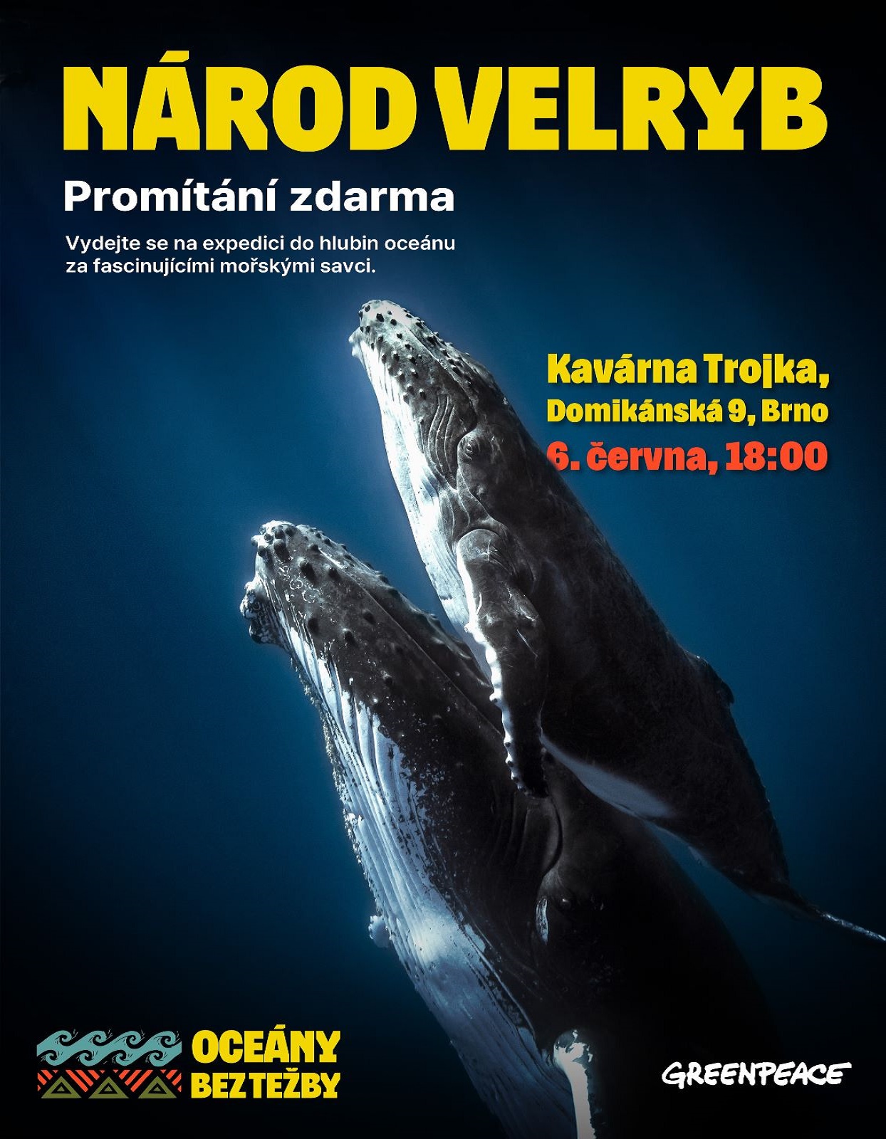 Národ velryb - filmový večer s Greenpeace